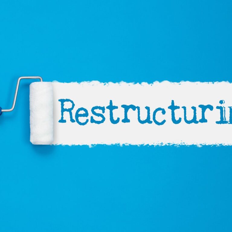 채무조정요청권