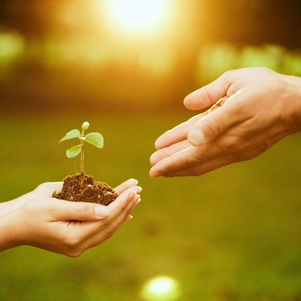 햇살론 대출자격