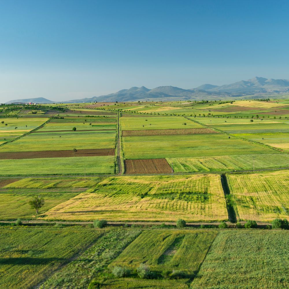 경영이양형 농지연금