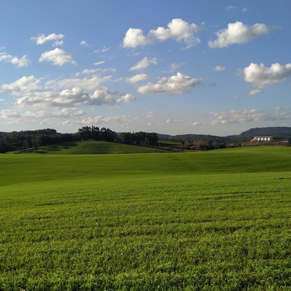 경영이양형 농지연금