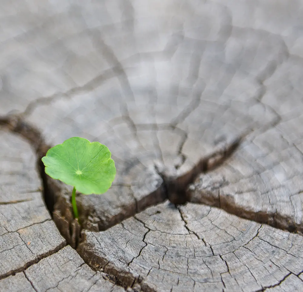 2026 출소자 지원금